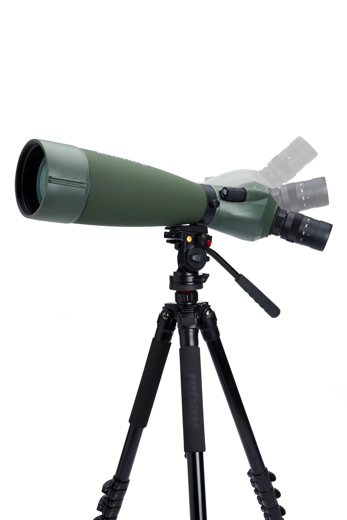 Regal M2 20-60×80 ED フィールドスコープ
