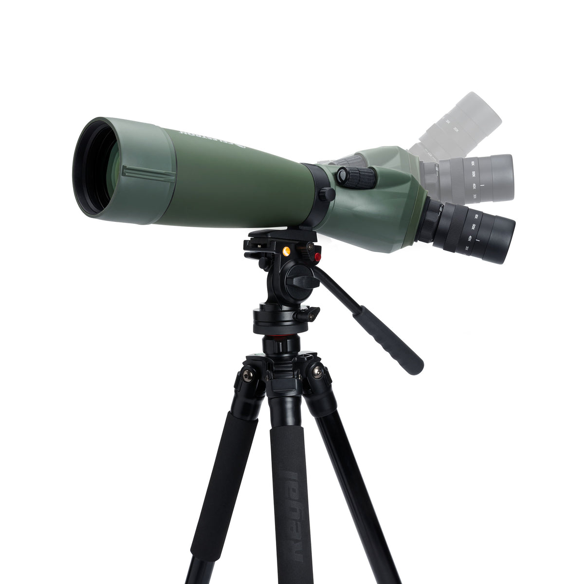 Regal M2 20-60×80 ED フィールドスコープ|CE-BSRL-52305