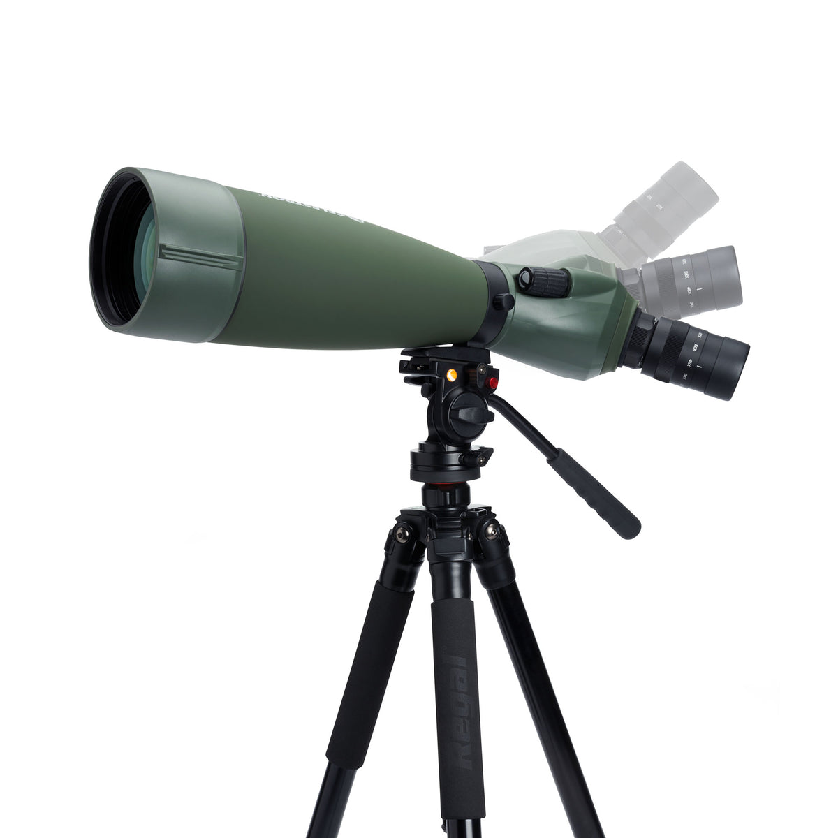 Regal M2 22-67×100 ED フィールドスコープ|CE-BSRL-52306