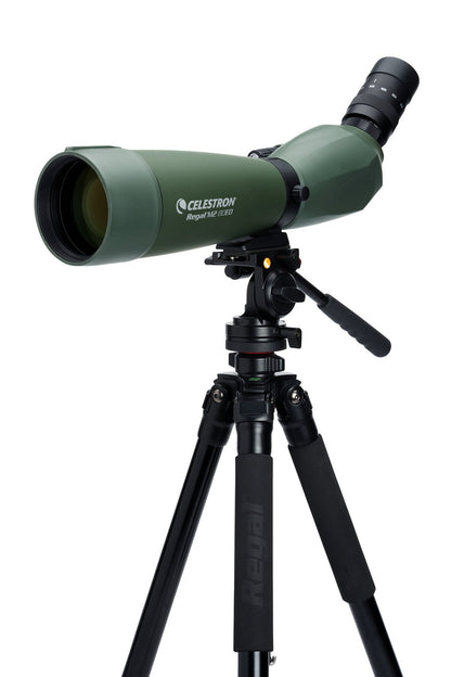 Regal M2 20-60×80 ED フィールドスコープ