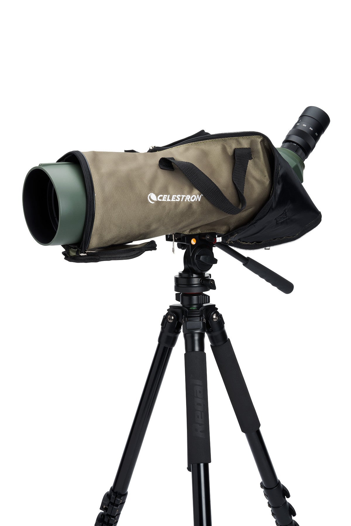 Regal M2 22-67×100 ED フィールドスコープ｜100mm口径22-67倍 傾斜型