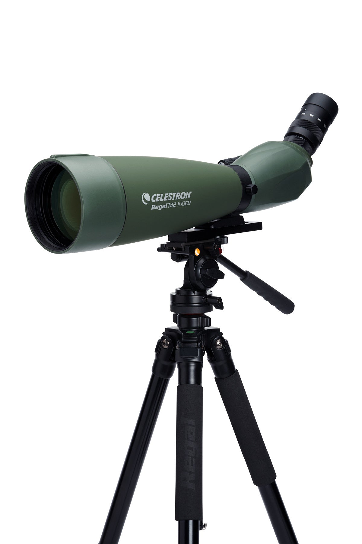 Regal M2 22-67×100 ED フィールドスコープ｜100mm口径22-67倍 傾斜型