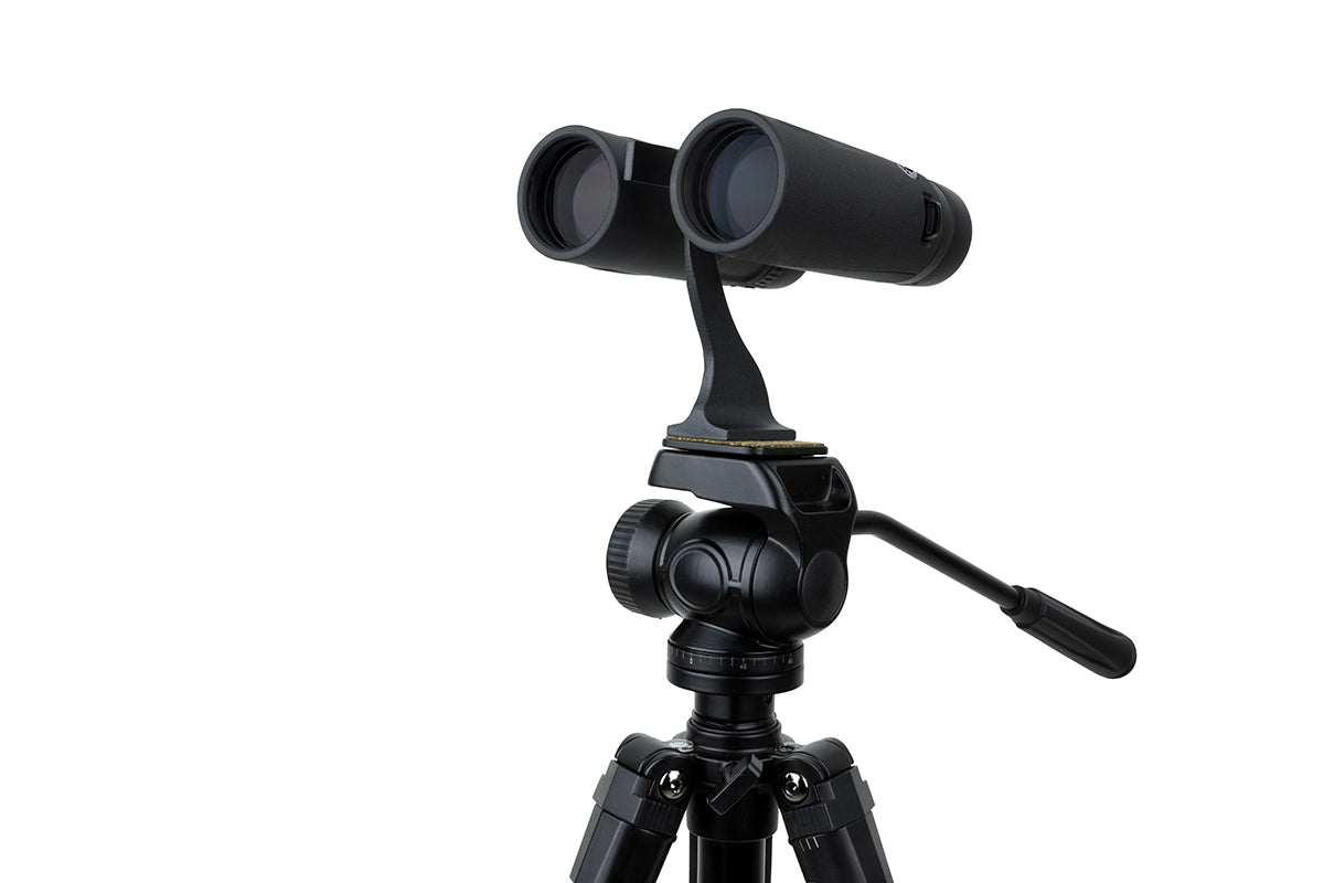 Regal ED 8x42 ダハプリズム双眼鏡