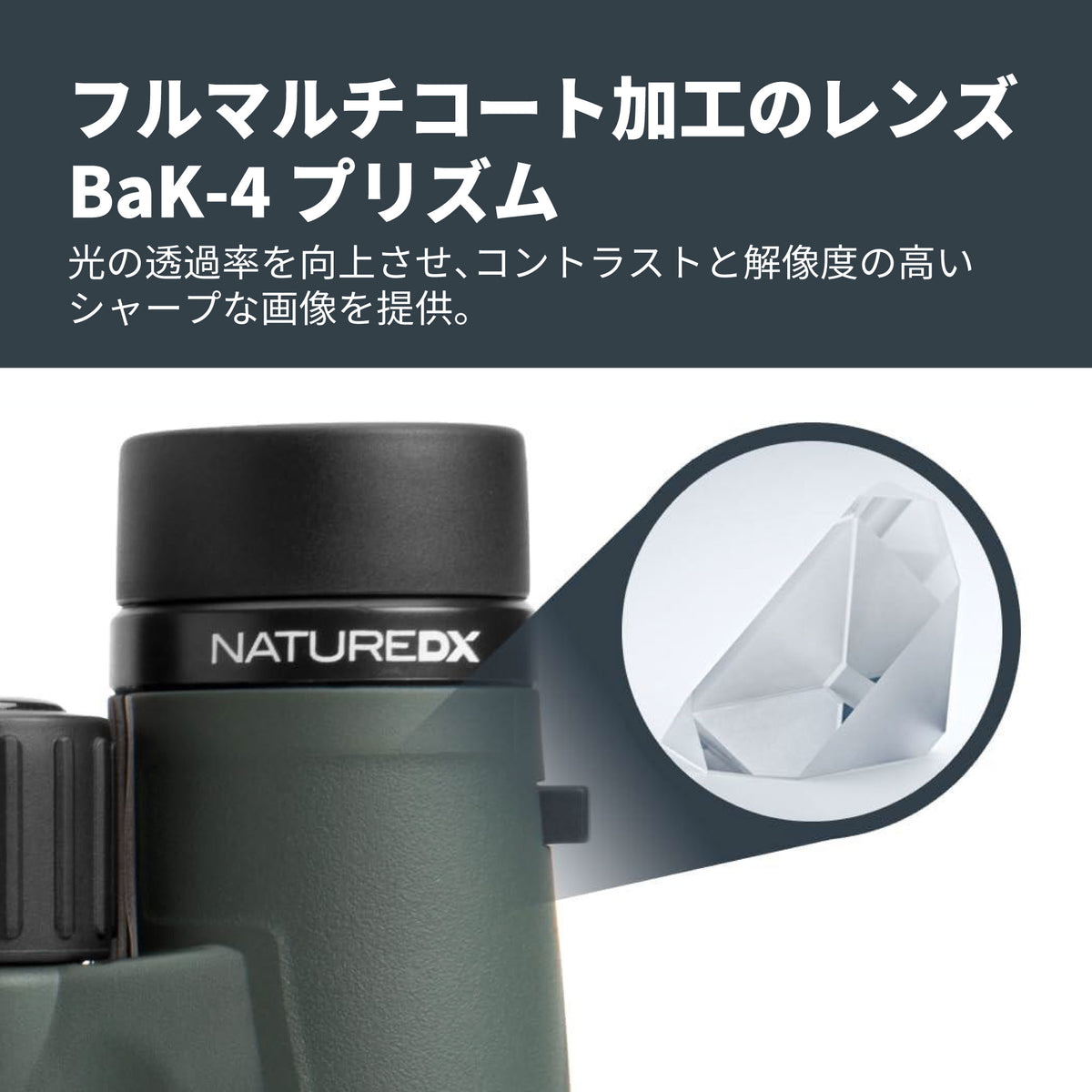 Nature DX 10×32 ダハプリズム双眼鏡｜CE-BBND-71331