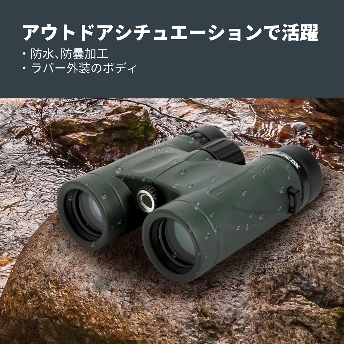 Nature DX 10×32 ダハプリズム双眼鏡｜CE-BBND-71331