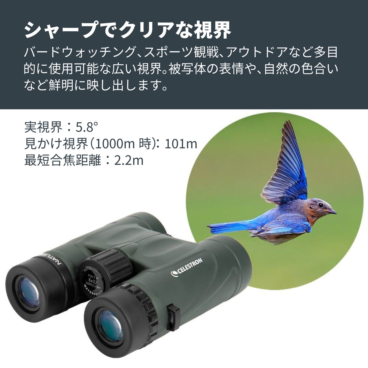 Nature DX 10×32 ダハプリズム双眼鏡｜CE-BBND-71331