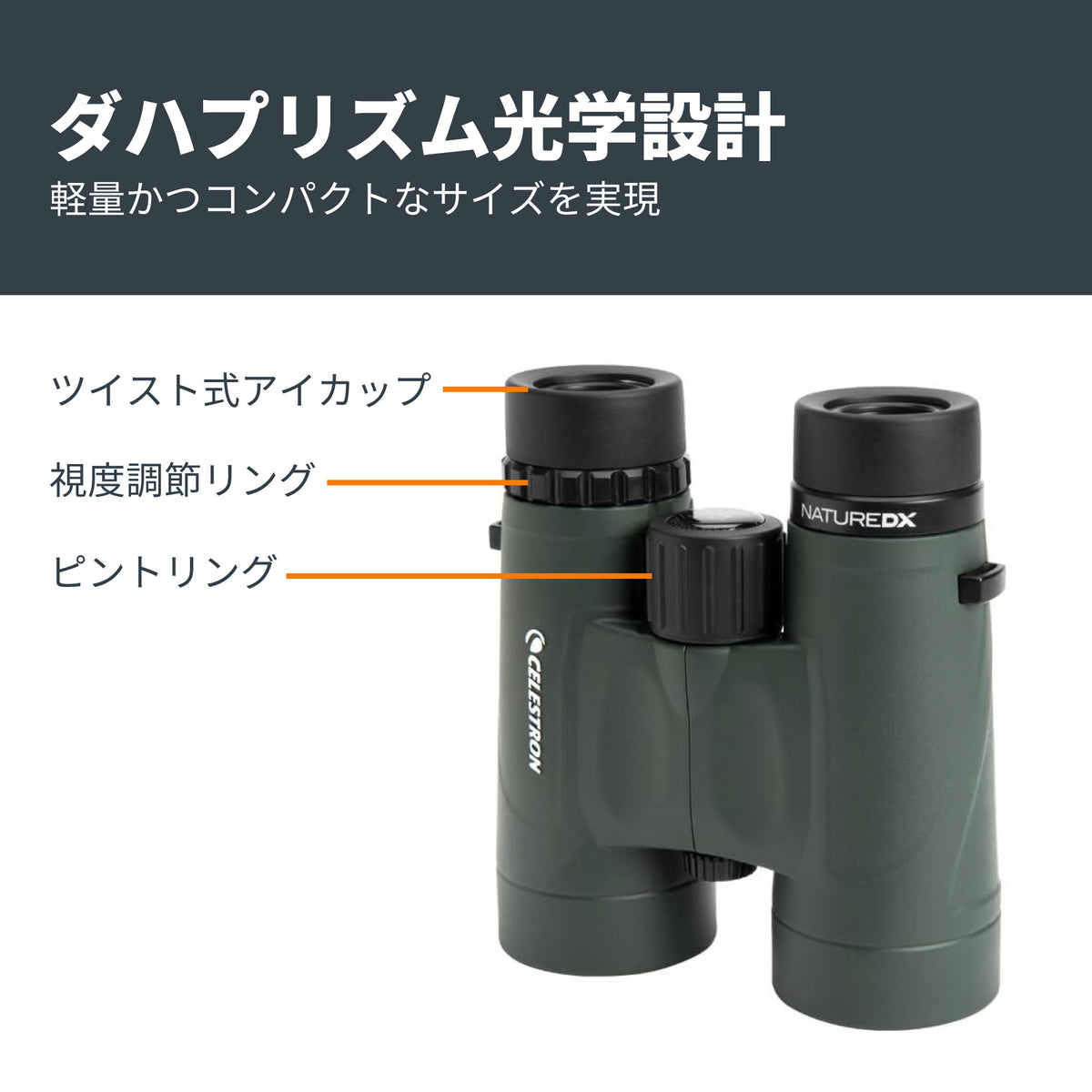 Nature DX 10×32 ダハプリズム双眼鏡｜CE-BBND-71331
