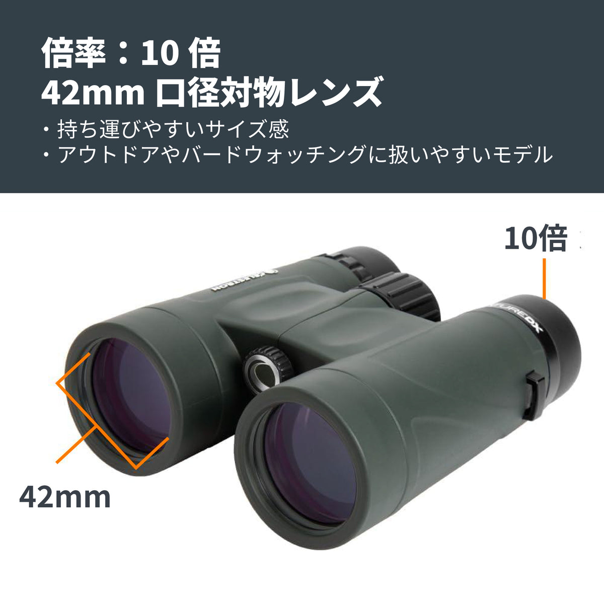 Nature DX 10×42 ダハプリズム双眼鏡｜CE-BBND-71333