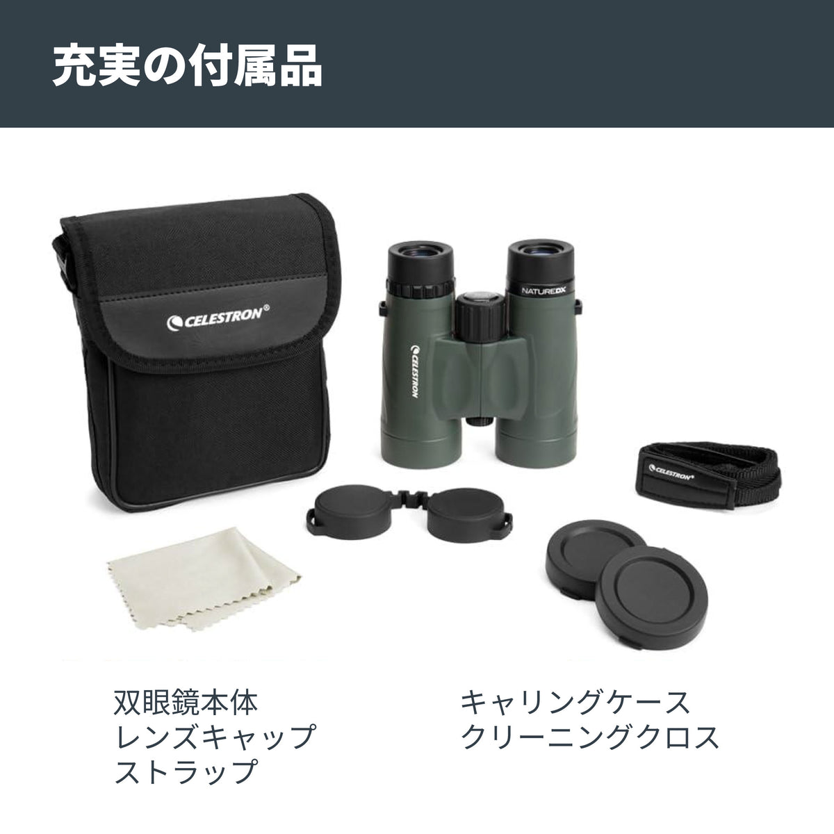 Nature DX 10×42 ダハプリズム双眼鏡｜CE-BBND-71333
