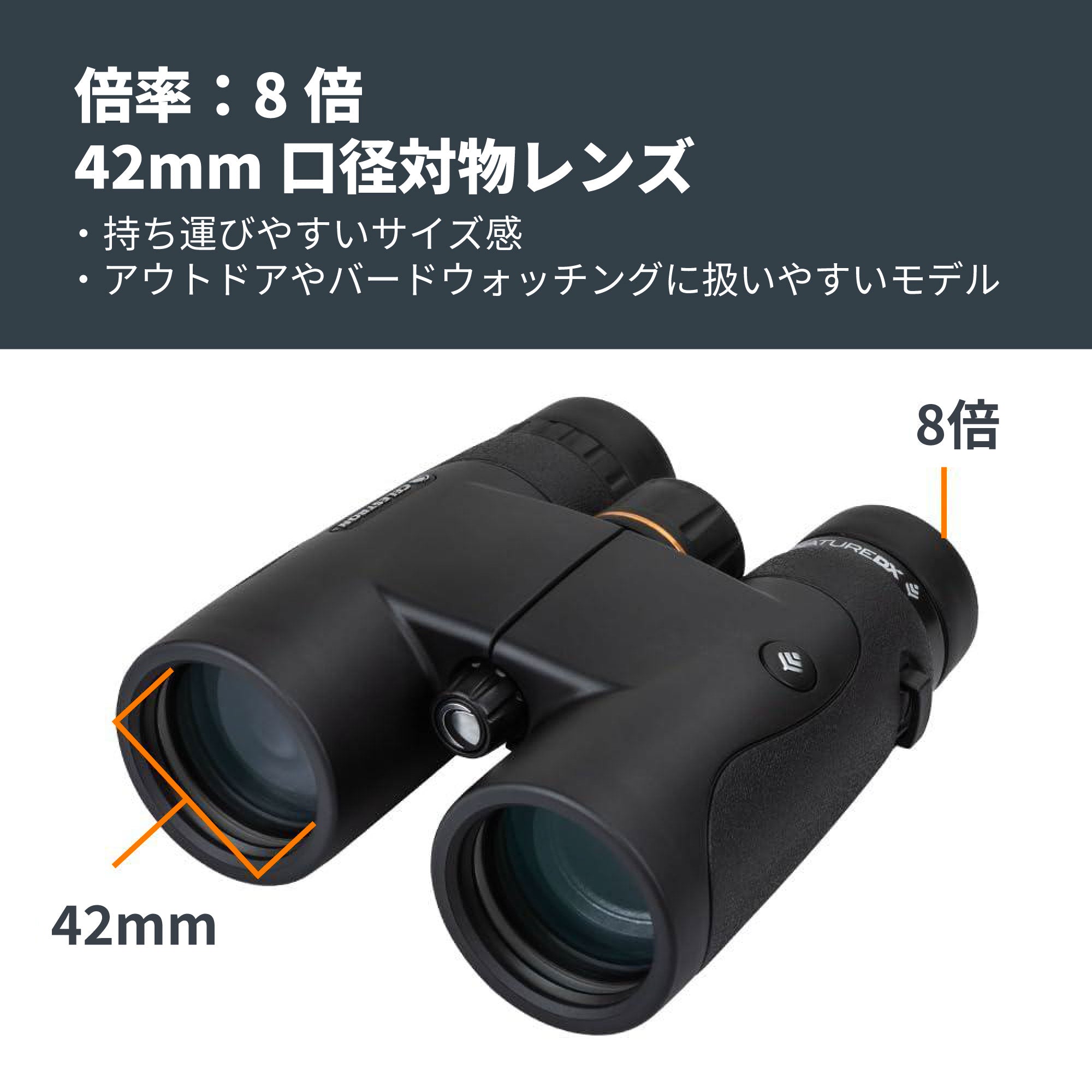 Nature DX 8x42 ダハプリズム双眼鏡- ブラック｜42mm口径8倍 野鳥観察