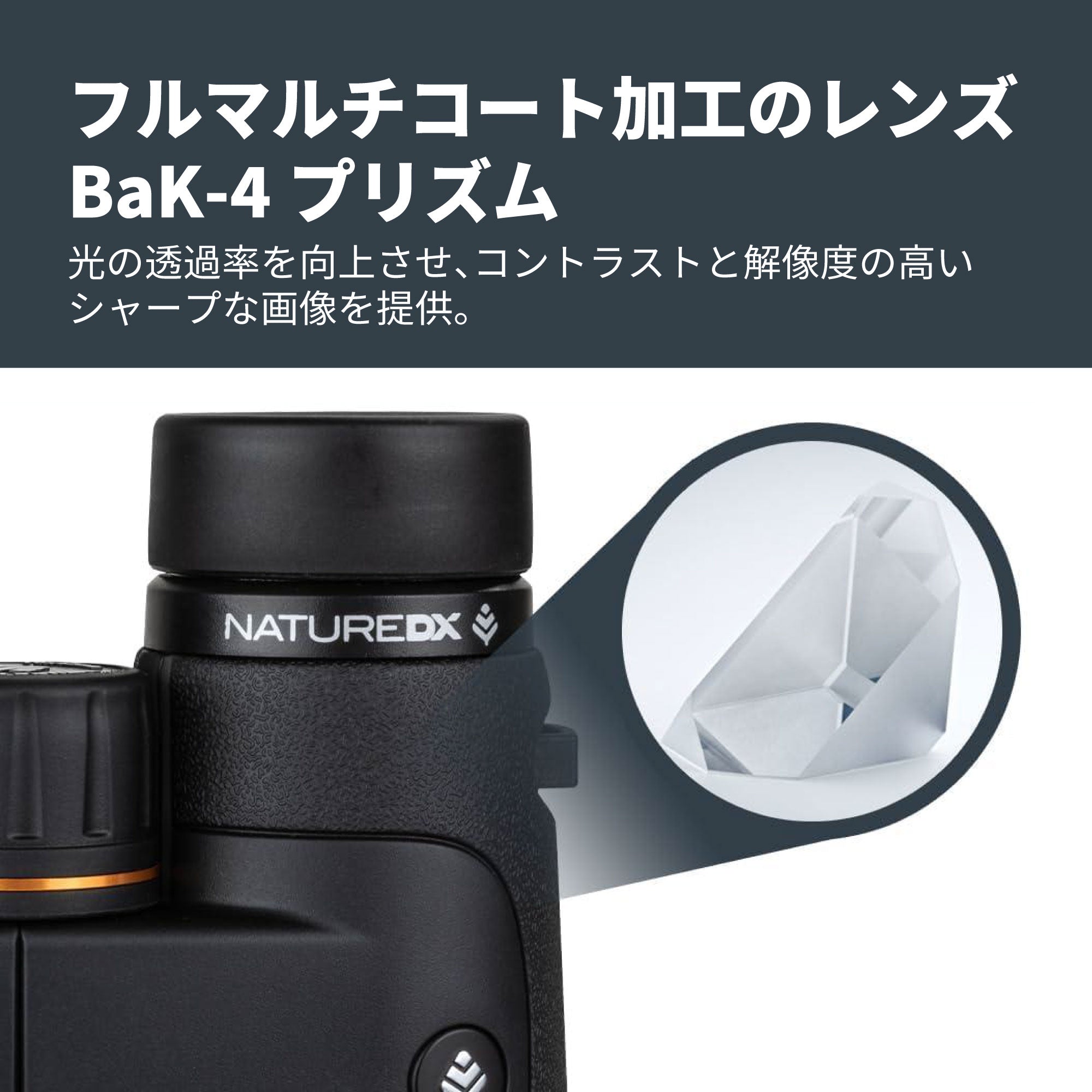 Nature DX 8x42 ダハプリズム双眼鏡- ブラック｜42mm口径8倍 野鳥観察