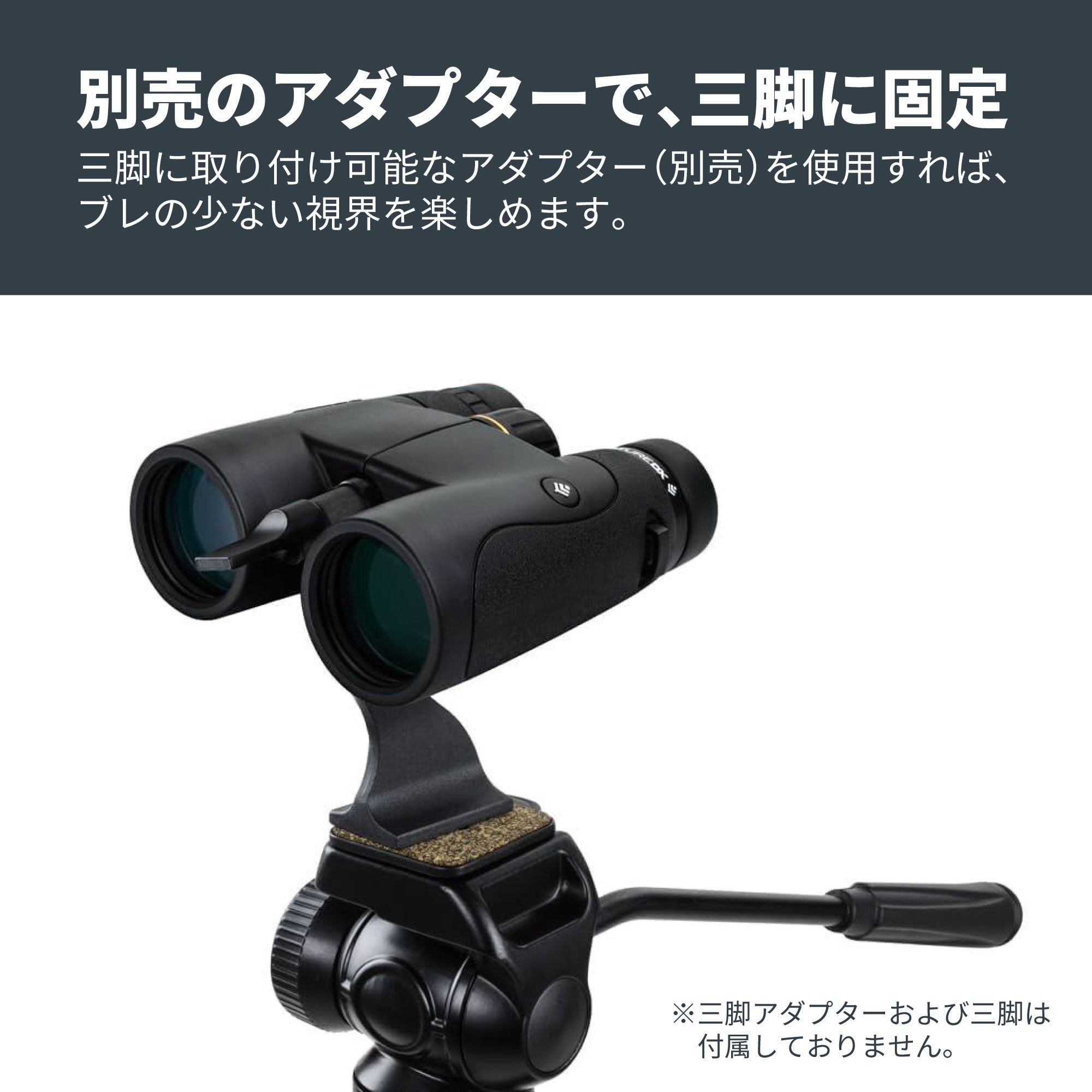 Nature DX 8x42 ダハプリズム双眼鏡- ブラック｜42mm口径8倍 野鳥観察
