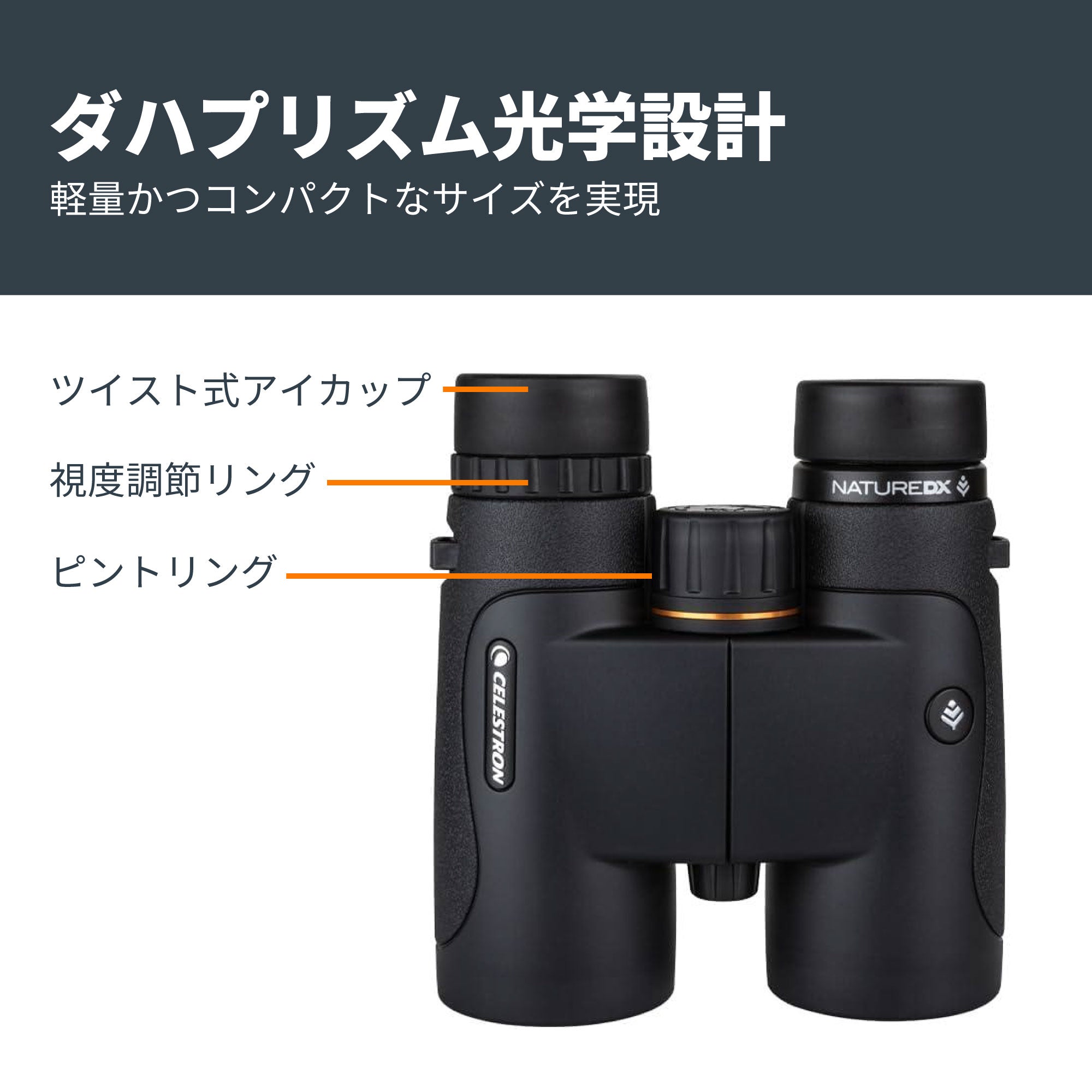 Nature DX 8x42 ダハプリズム双眼鏡- ブラック｜42mm口径8倍 野鳥観察