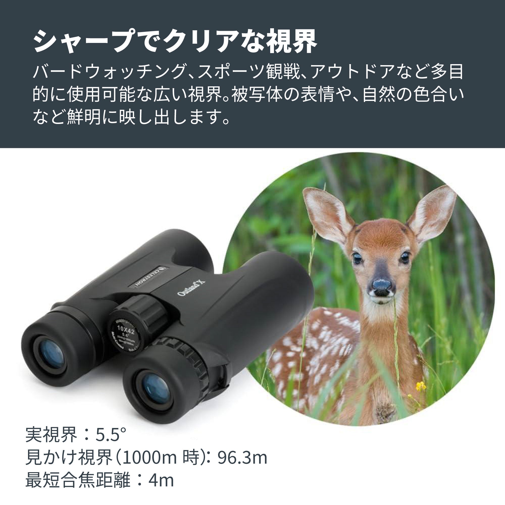 Outland X 10x42 ダハプリズム双眼鏡｜42mm口径10倍 野鳥観察