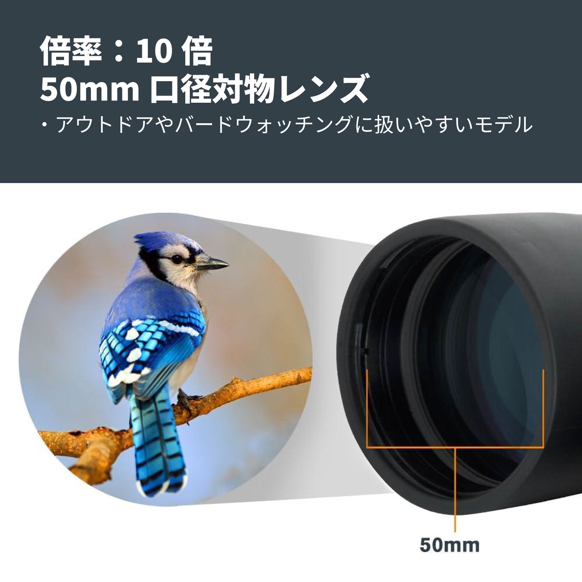 Outland X 10×50 ダハプリズム双眼鏡｜50mm大口径10倍 野鳥観察