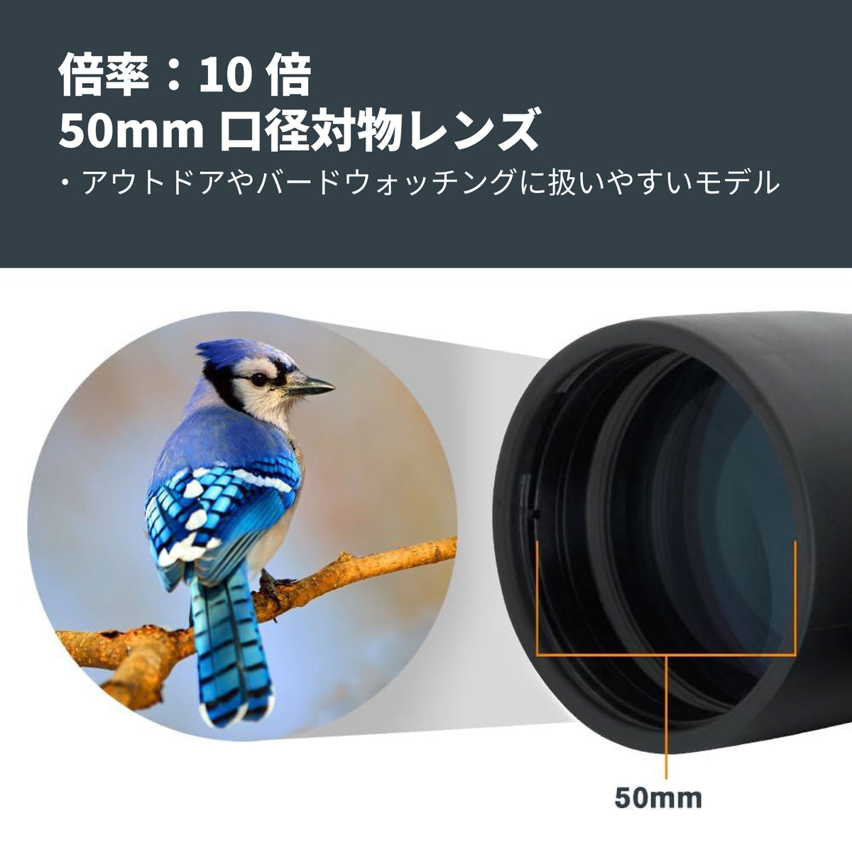 Outland X 10×50 ダハプリズム双眼鏡｜CE-BBOX-71348