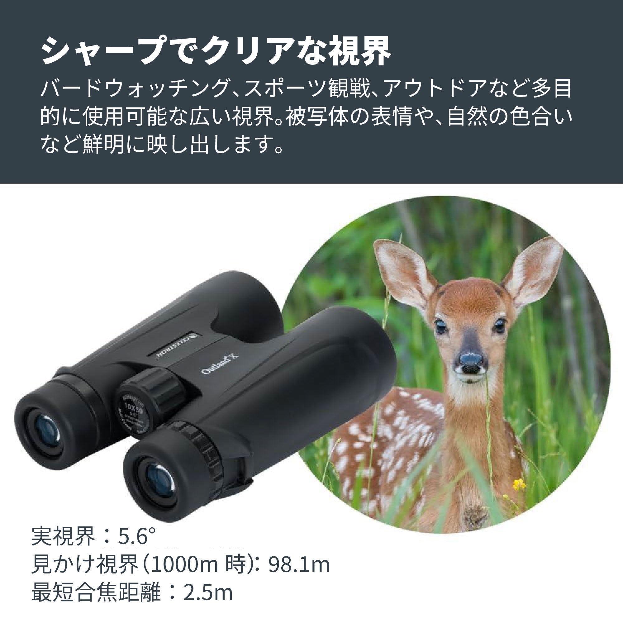 Outland X 10×50 ダハプリズム双眼鏡｜50mm大口径10倍 野鳥観察