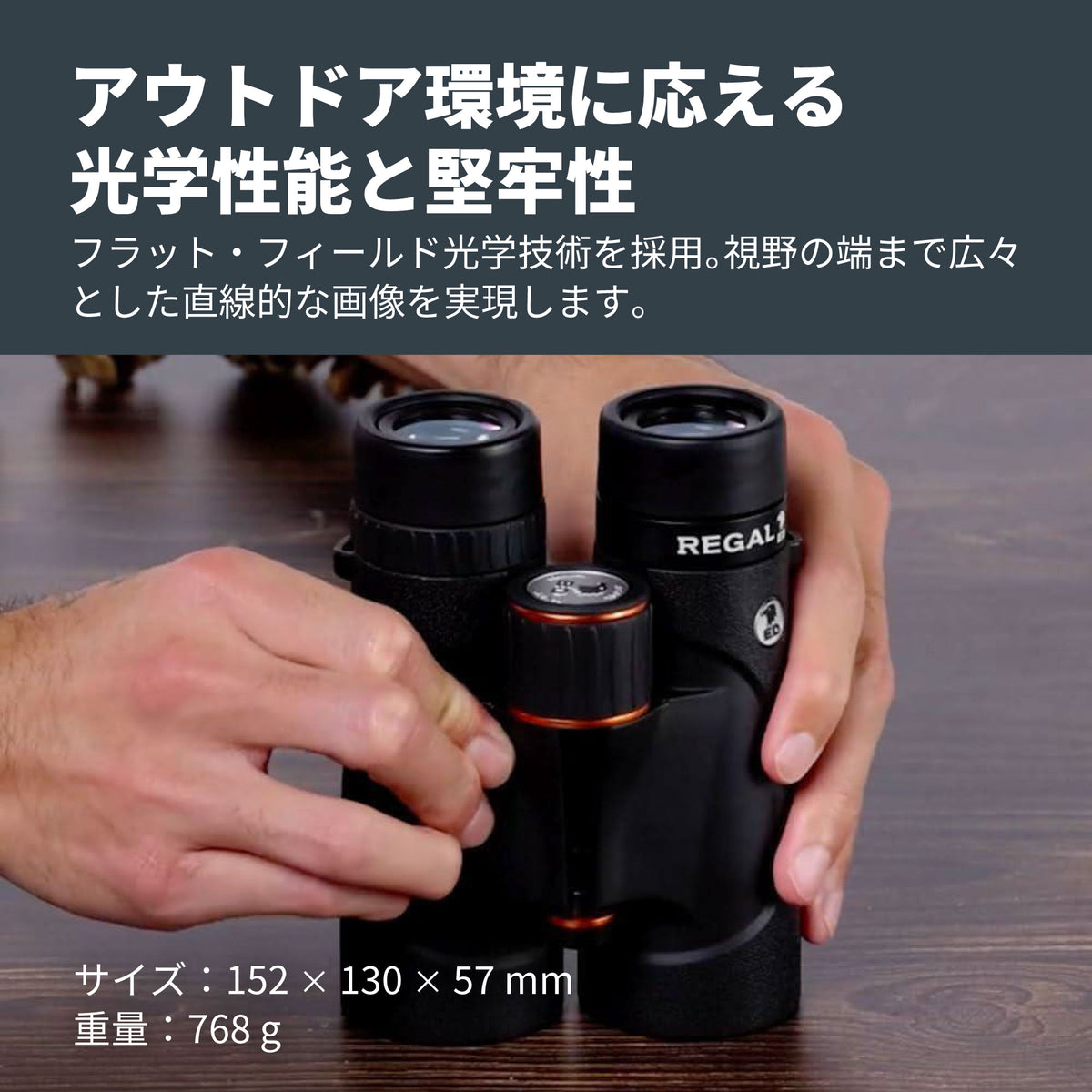 Regal ED 8x42 ダハプリズム双眼鏡｜CE-BBRL-71390