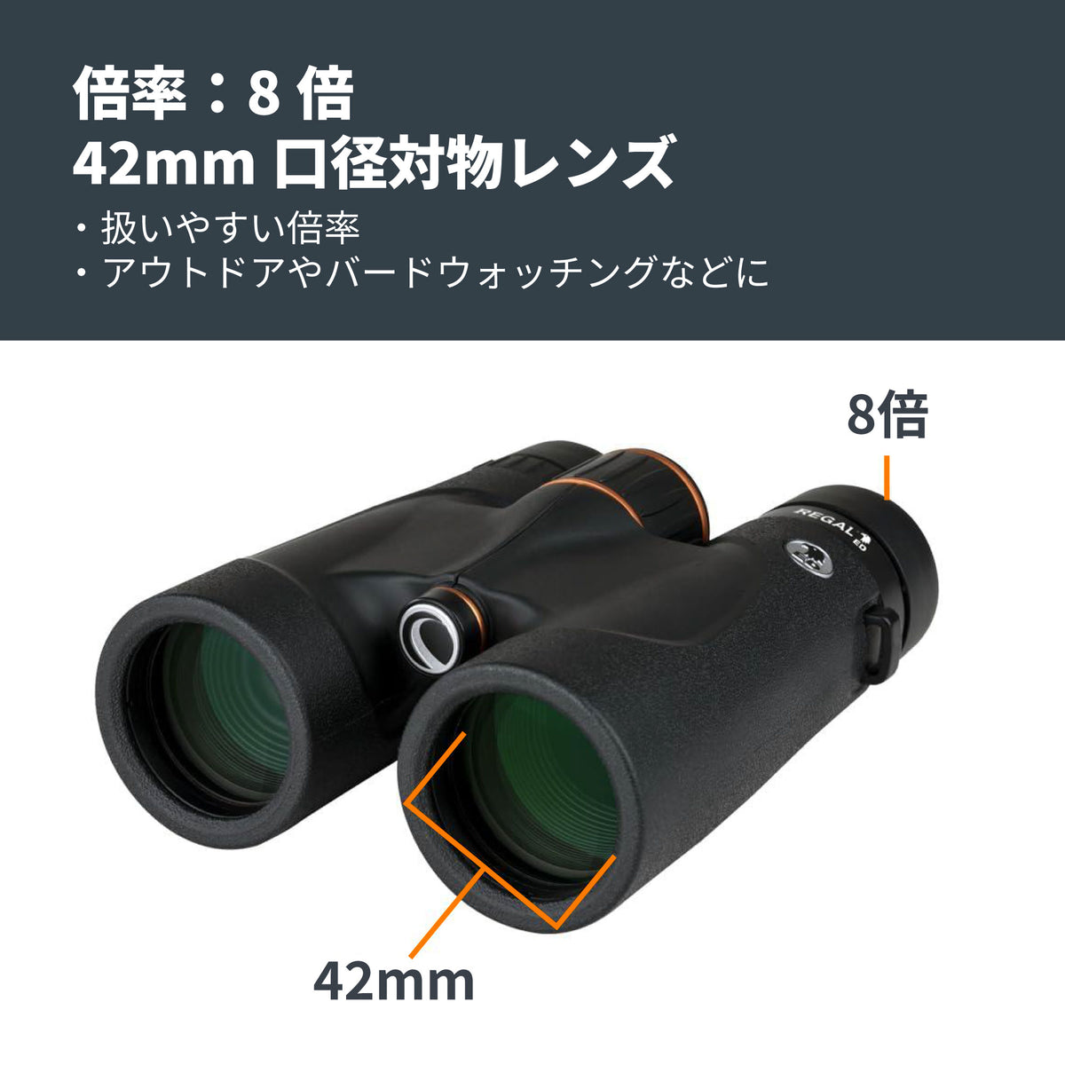 Regal ED 8x42 ダハプリズム双眼鏡｜CE-BBRL-71390