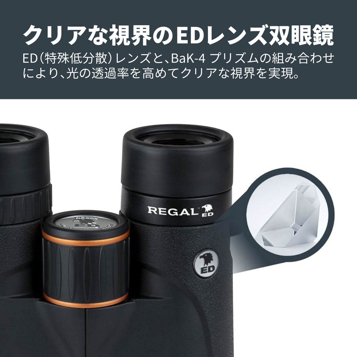 Regal ED 8x42 ダハプリズム双眼鏡｜CE-BBRL-71390
