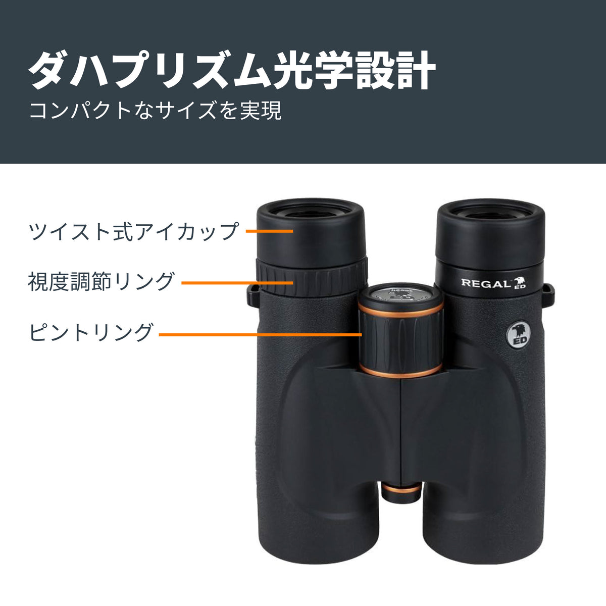 Regal ED 8x42 ダハプリズム双眼鏡｜CE-BBRL-71390