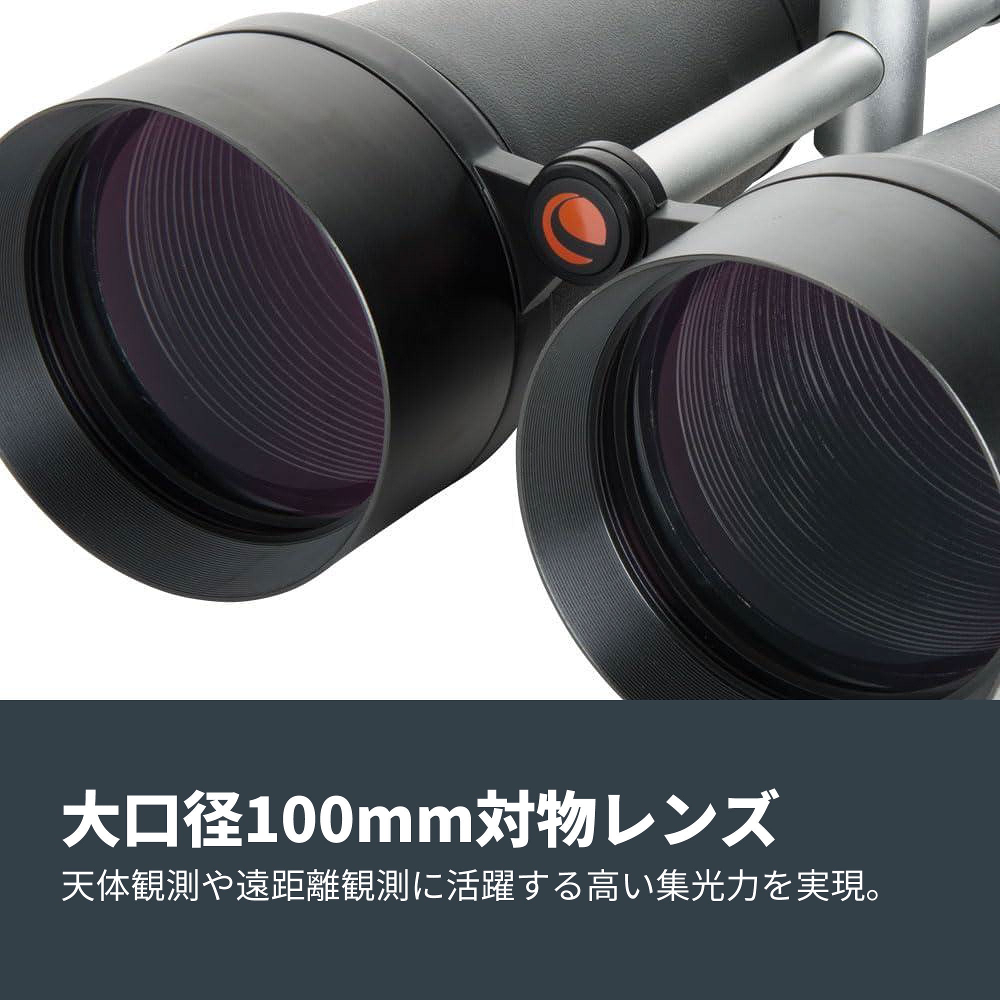 SkyMaster 25x100 ポロプリズム双眼鏡｜セレストロン スカイマスター