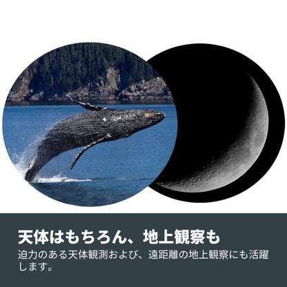 SkyMaster 25x100 ポロプリズム双眼鏡｜CE-BBSM-71017