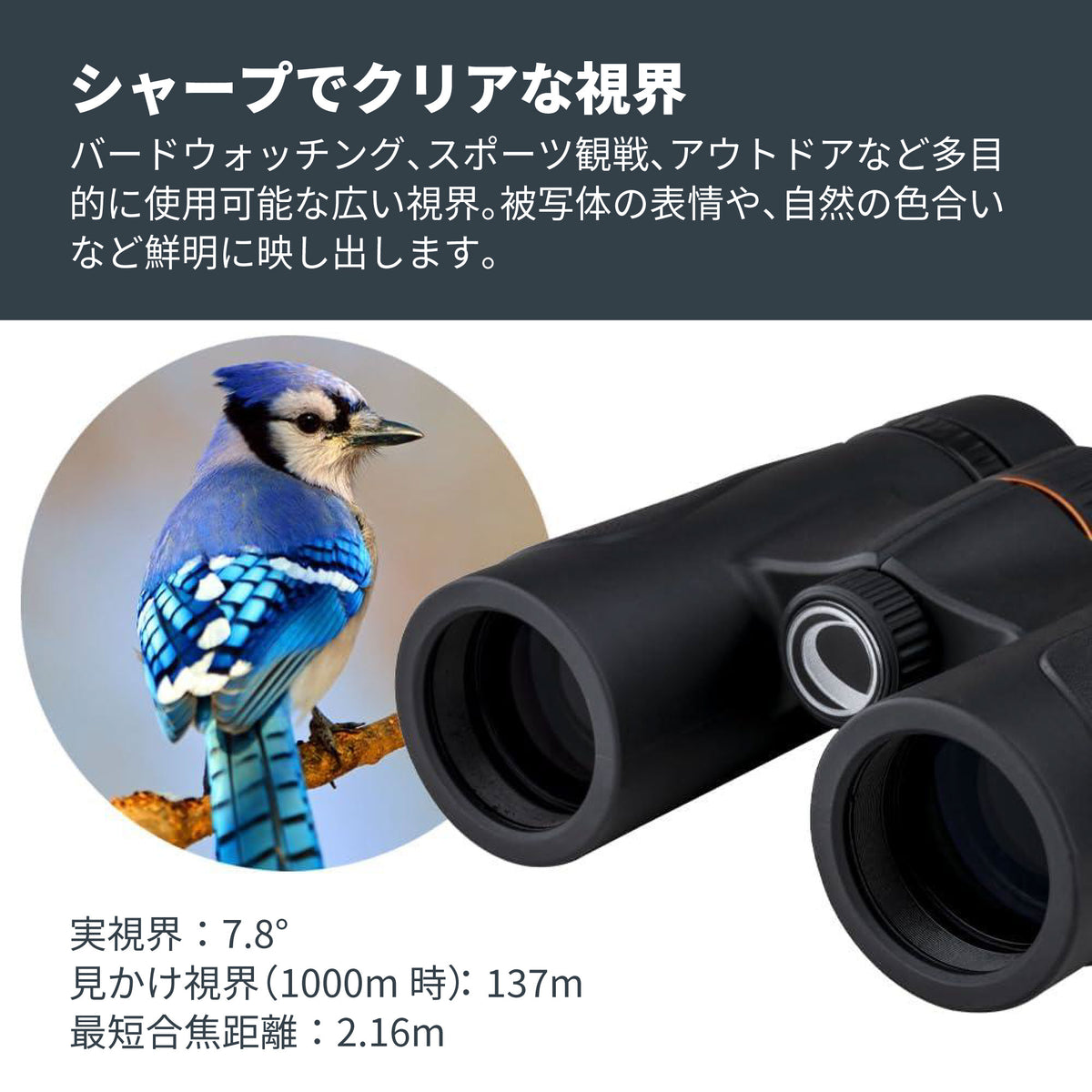 TrailSeeker ED 8x32mm ダハプリズム双眼鏡｜CE-BBTS-71401