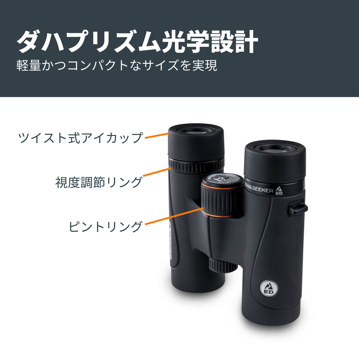 TrailSeeker ED 8x32mm ダハプリズム双眼鏡｜CE-BBTS-71401