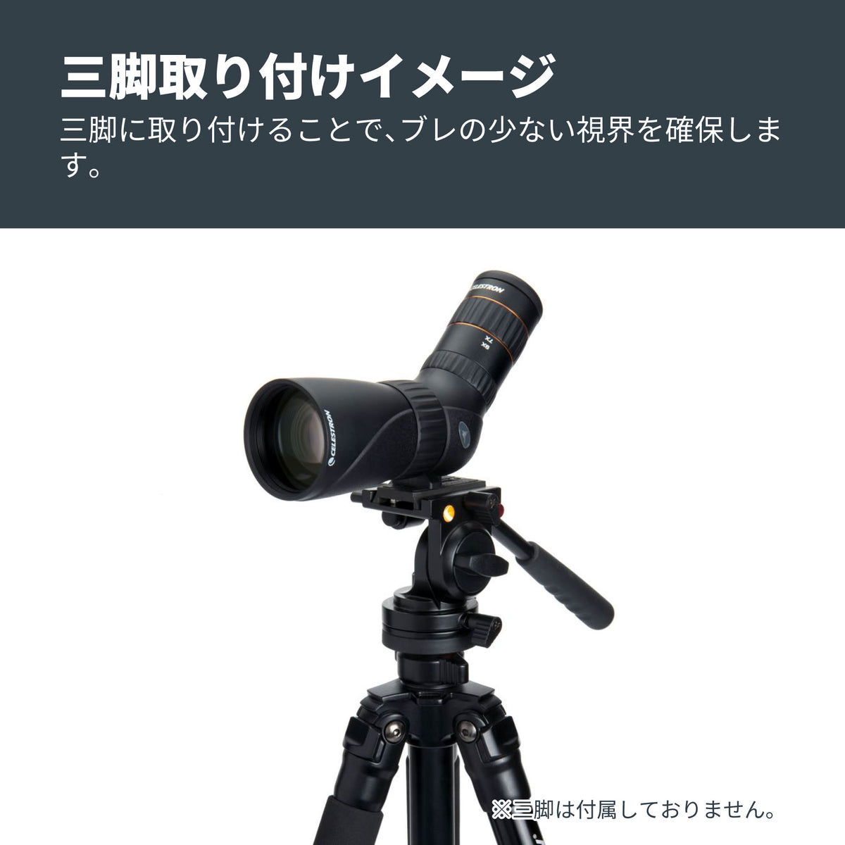 Hummingbird 9-27×56 ED マイクロフィールドスコープ｜CE-BSHB-52308