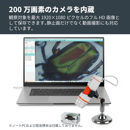 デジタル顕微鏡ハンディ DX 2MP｜CE-MBDHD-44302-C