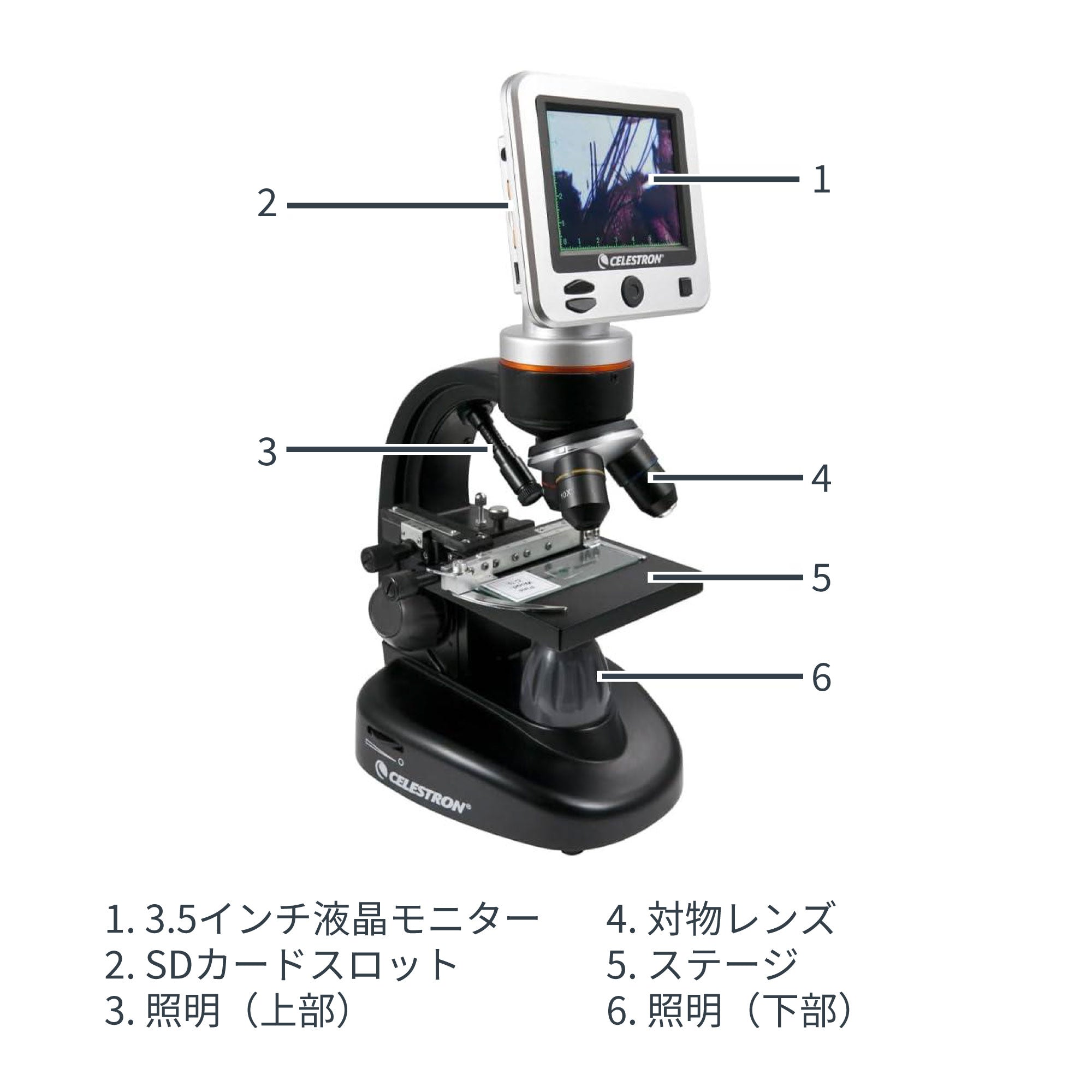 LCDデジタル顕微鏡Ⅱ｜4倍、10倍、40倍対物レンズ 4倍デジタルズーム