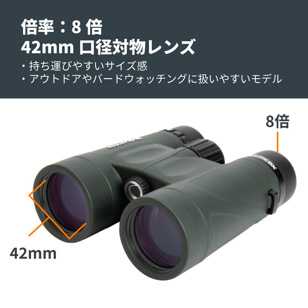 Nature DX 8×42 ダハプリズム双眼鏡｜CE-BBND-71332