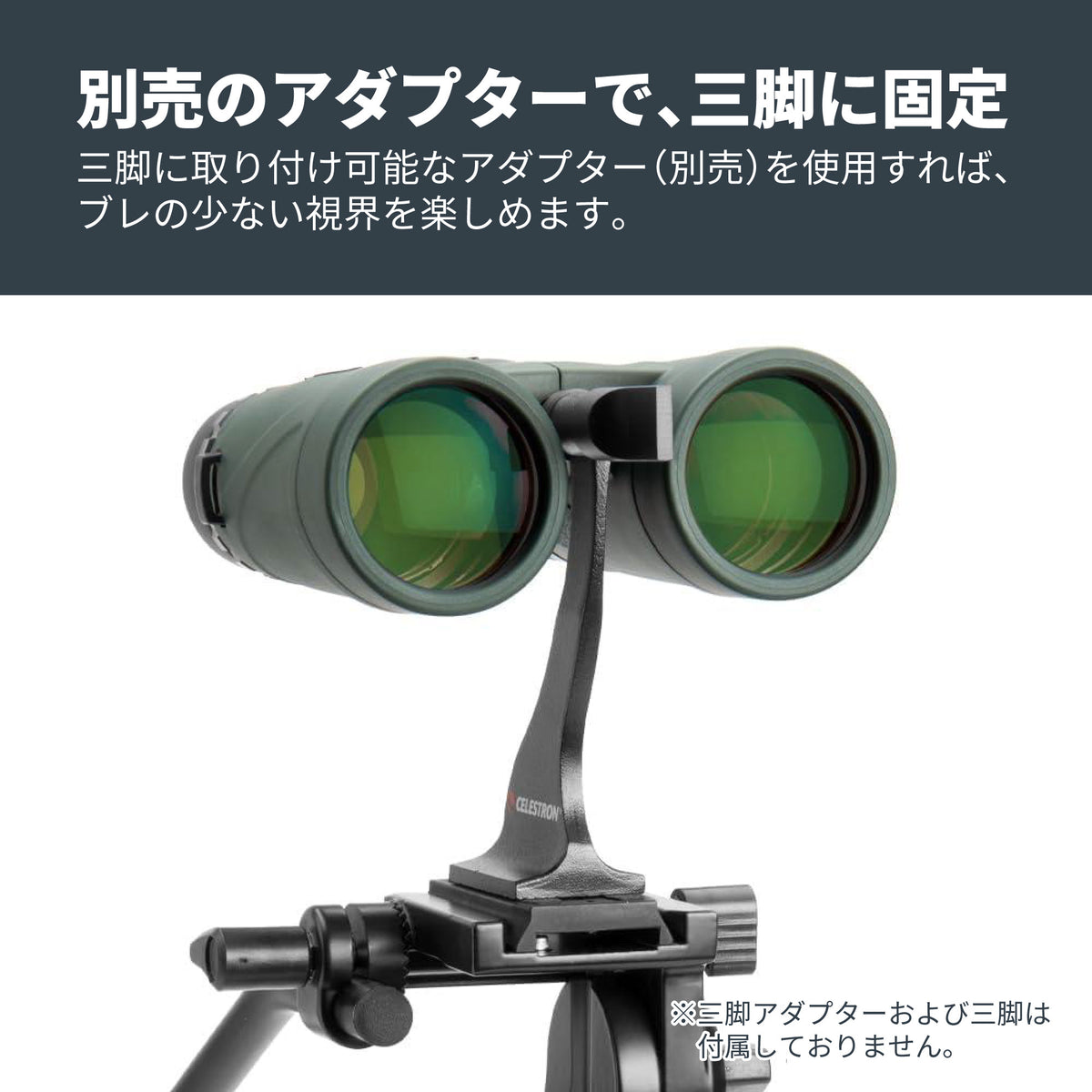 Nature DX 8×42 ダハプリズム双眼鏡｜CE-BBND-71332