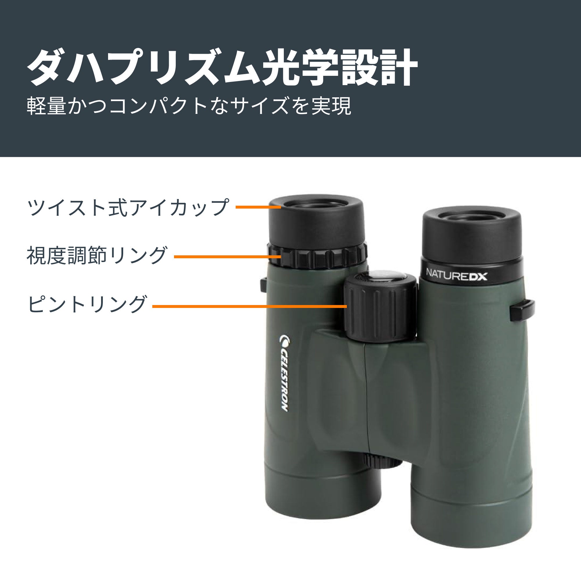 Nature DX 8×42 ダハプリズム双眼鏡｜42mm口径8倍 野鳥観察
