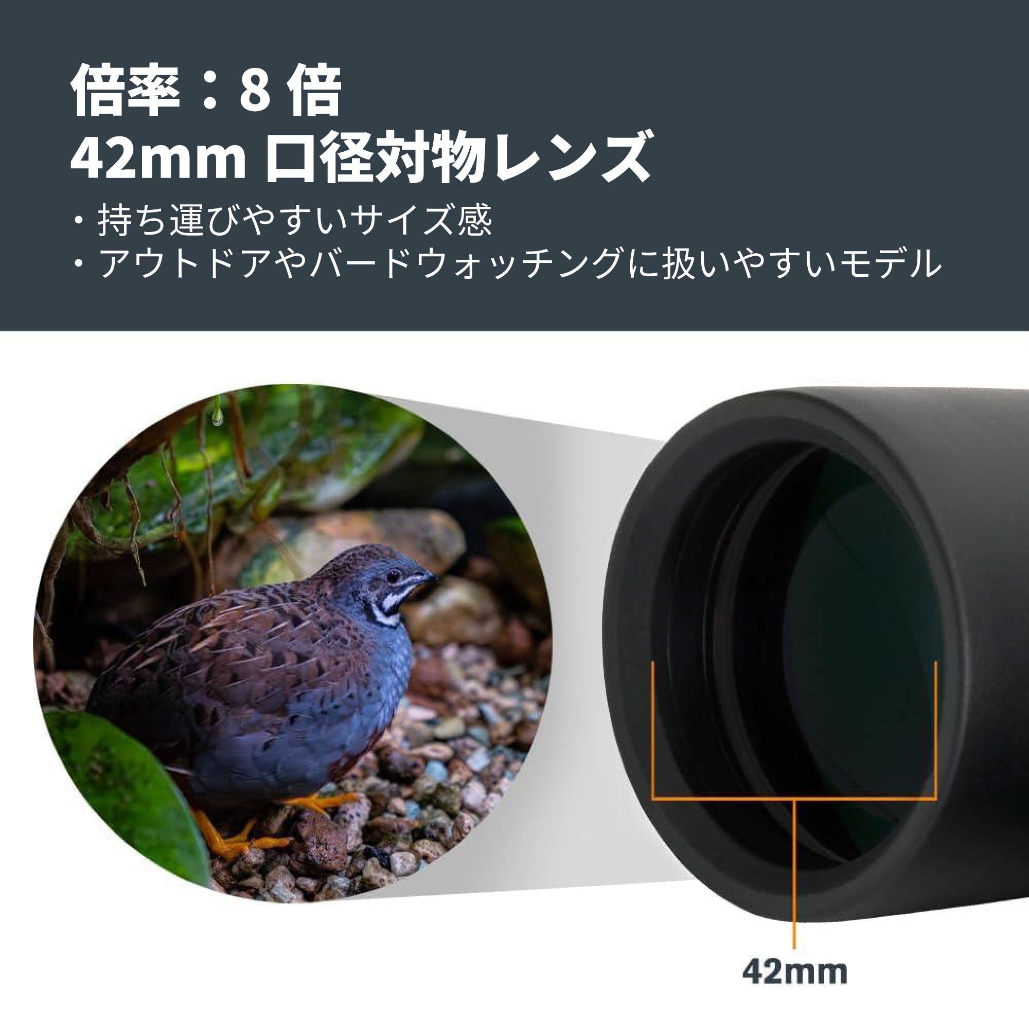 Outland X 8x42 ダハプリズム双眼鏡｜42mm口径8倍 野鳥観察