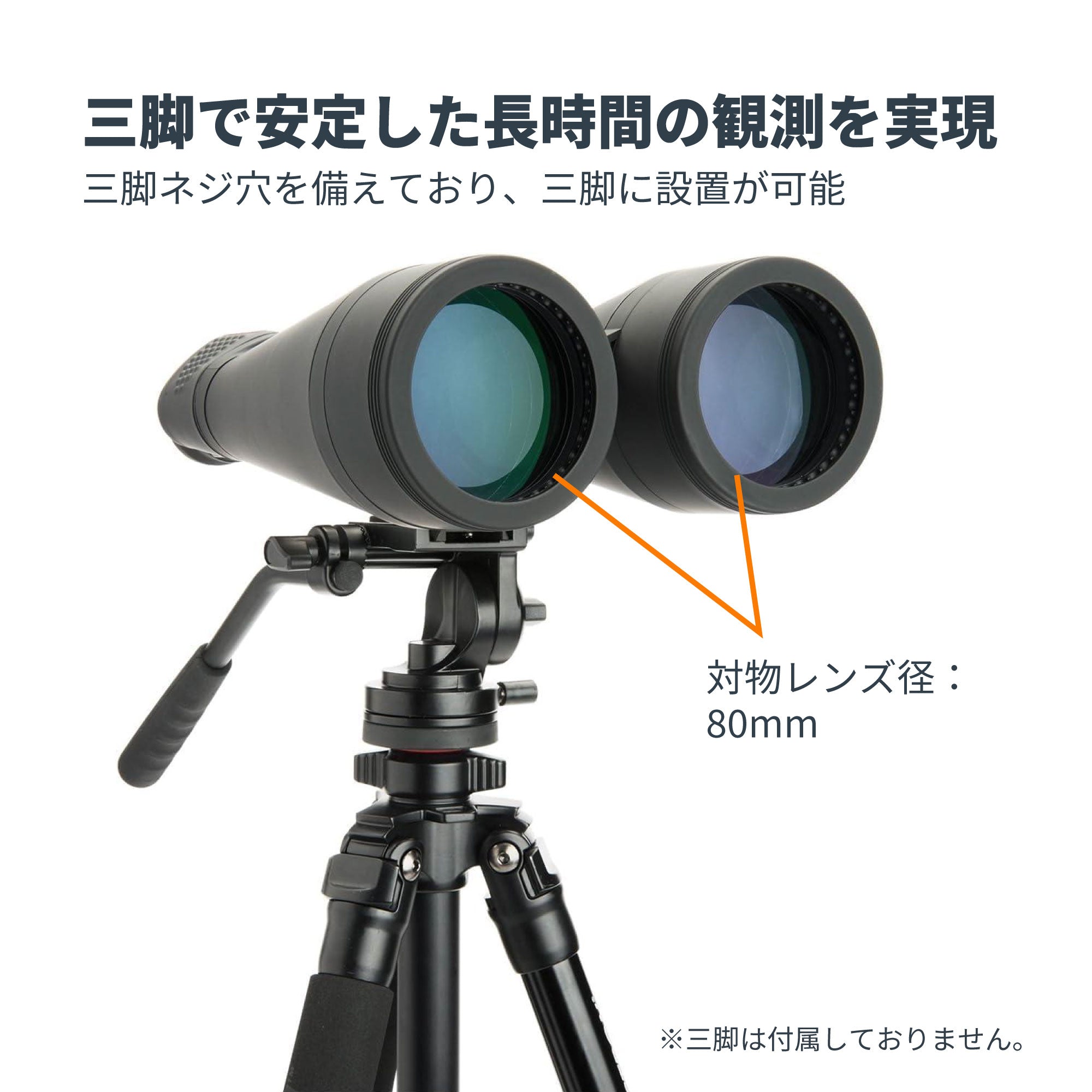 SkyMaster 20x80 ポロプリズム双眼鏡｜セレストロン スカイマスター