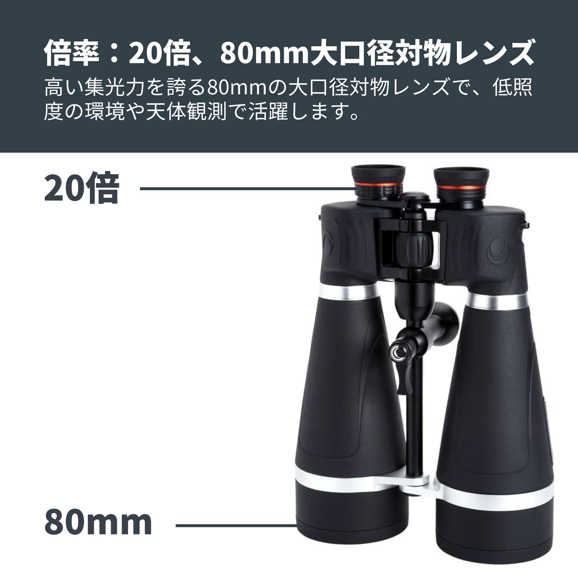 SkyMaster Pro 20×80 ポロプリズム双眼鏡｜セレストロン スカイ