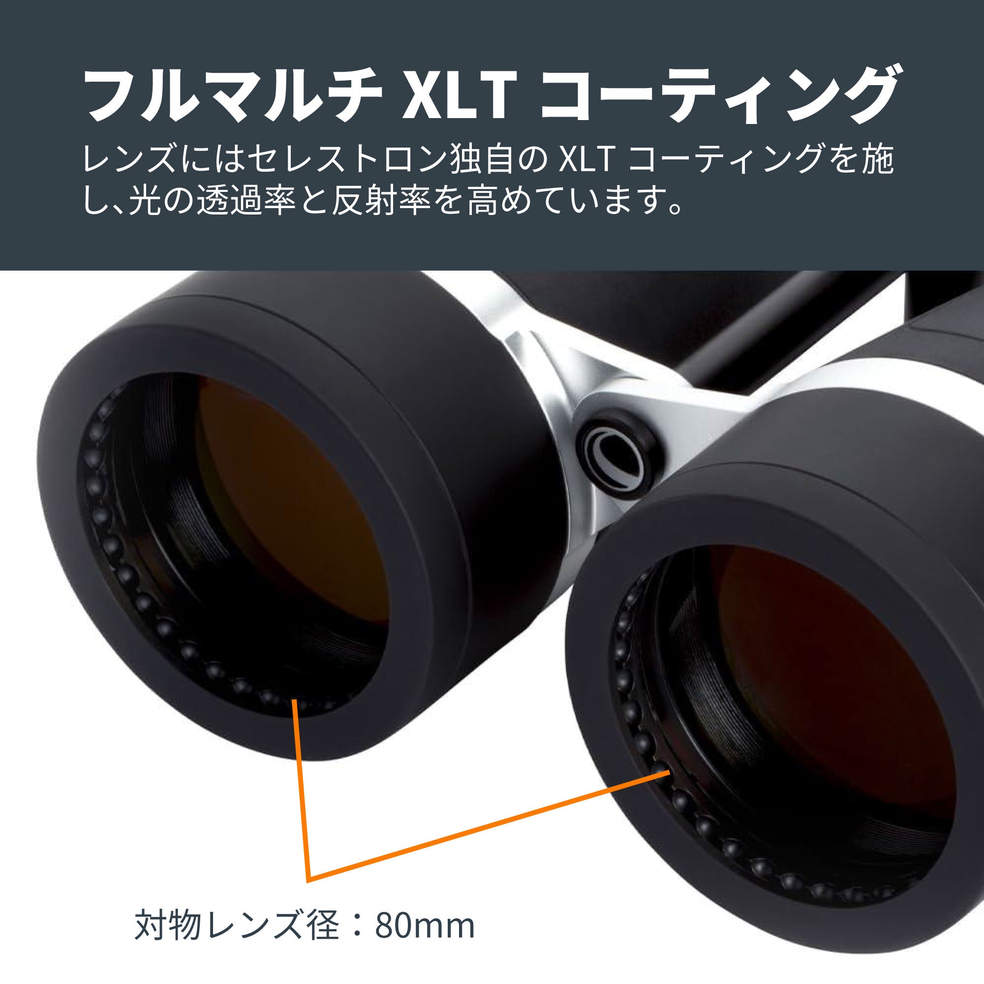 SkyMaster Pro 20×80 ポロプリズム双眼鏡｜セレストロン スカイ