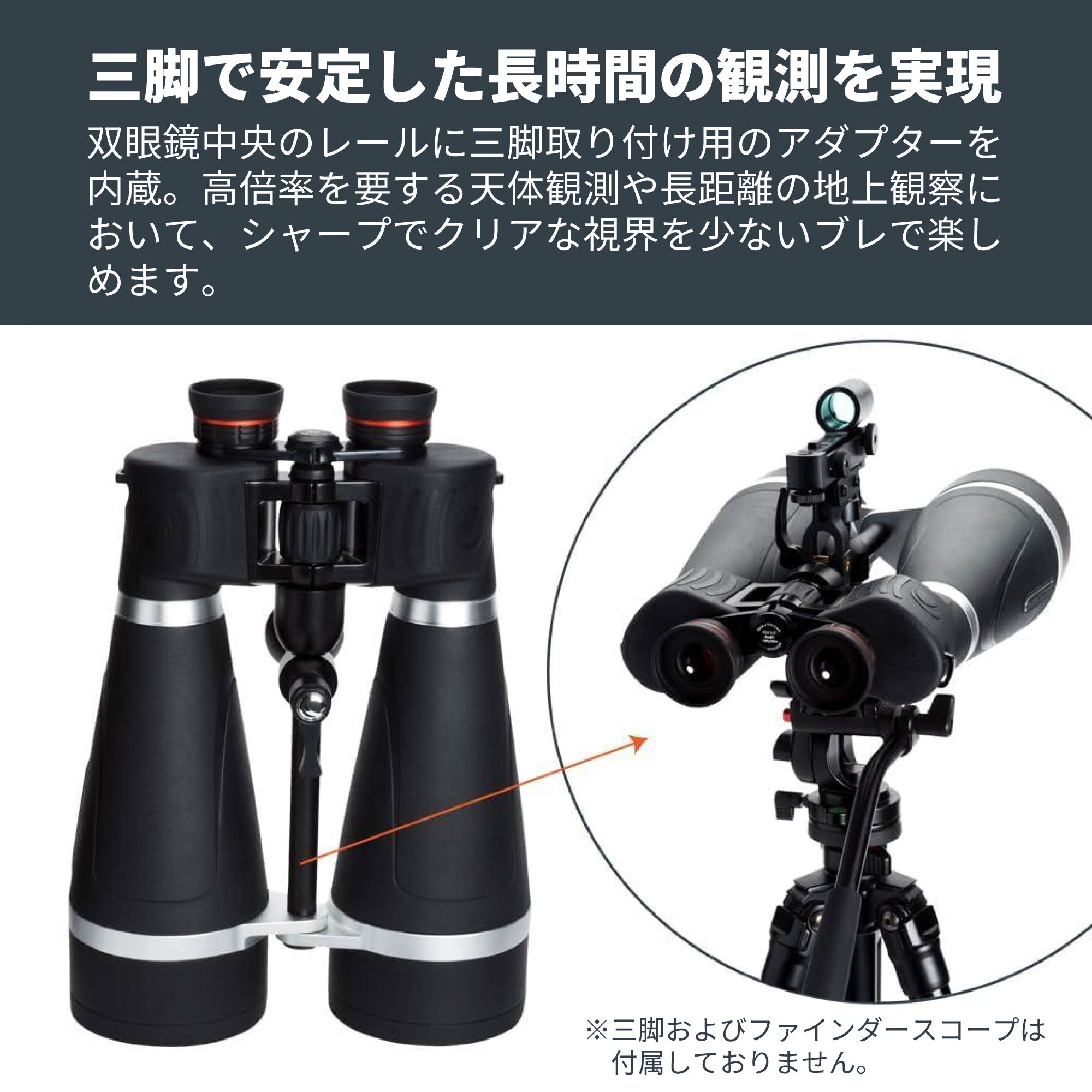 SkyMaster Pro 20×80 ポロプリズム双眼鏡｜セレストロン スカイ