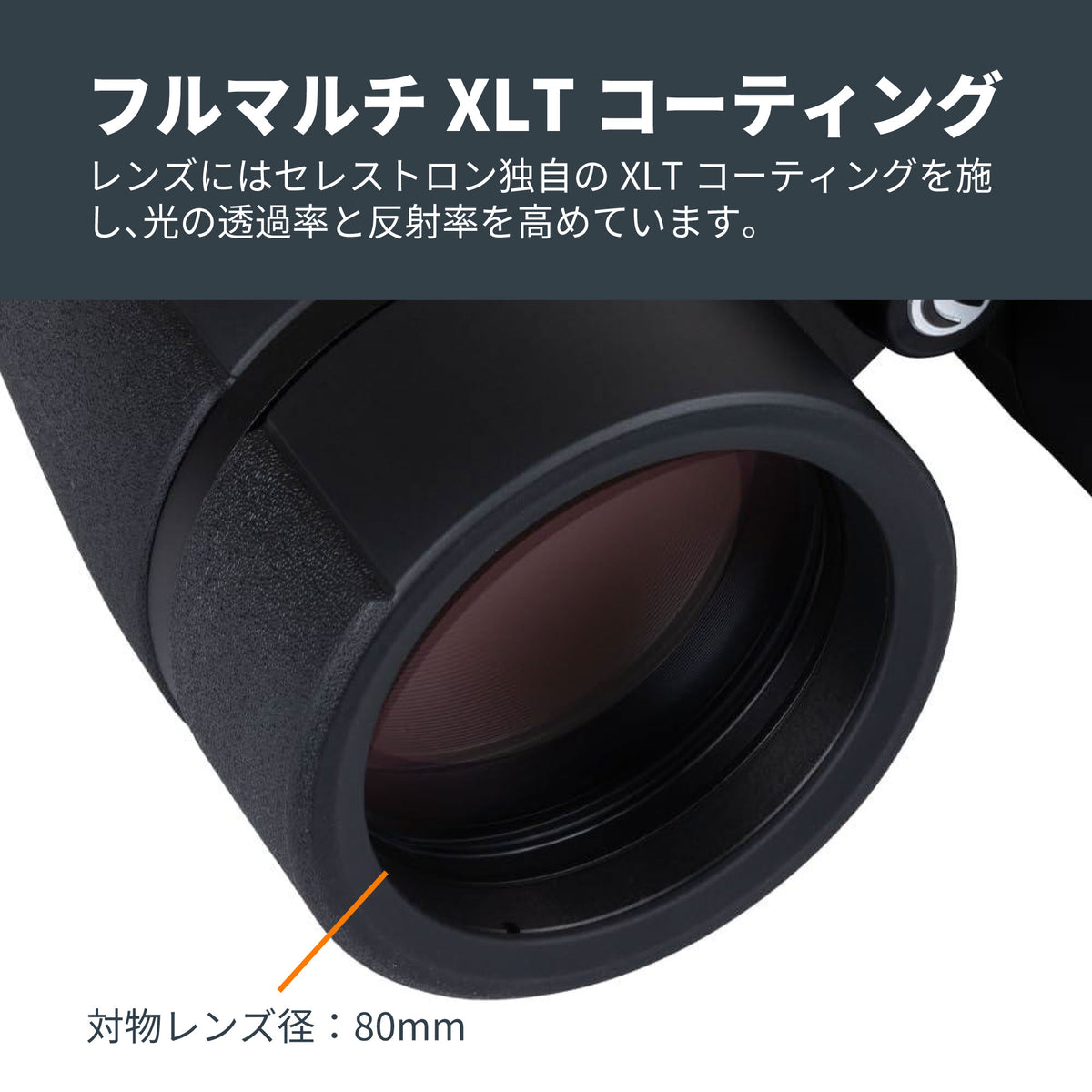 SkyMaster Pro ED 20x80 ポロプリズム双眼鏡｜CE-BBSM-72035
