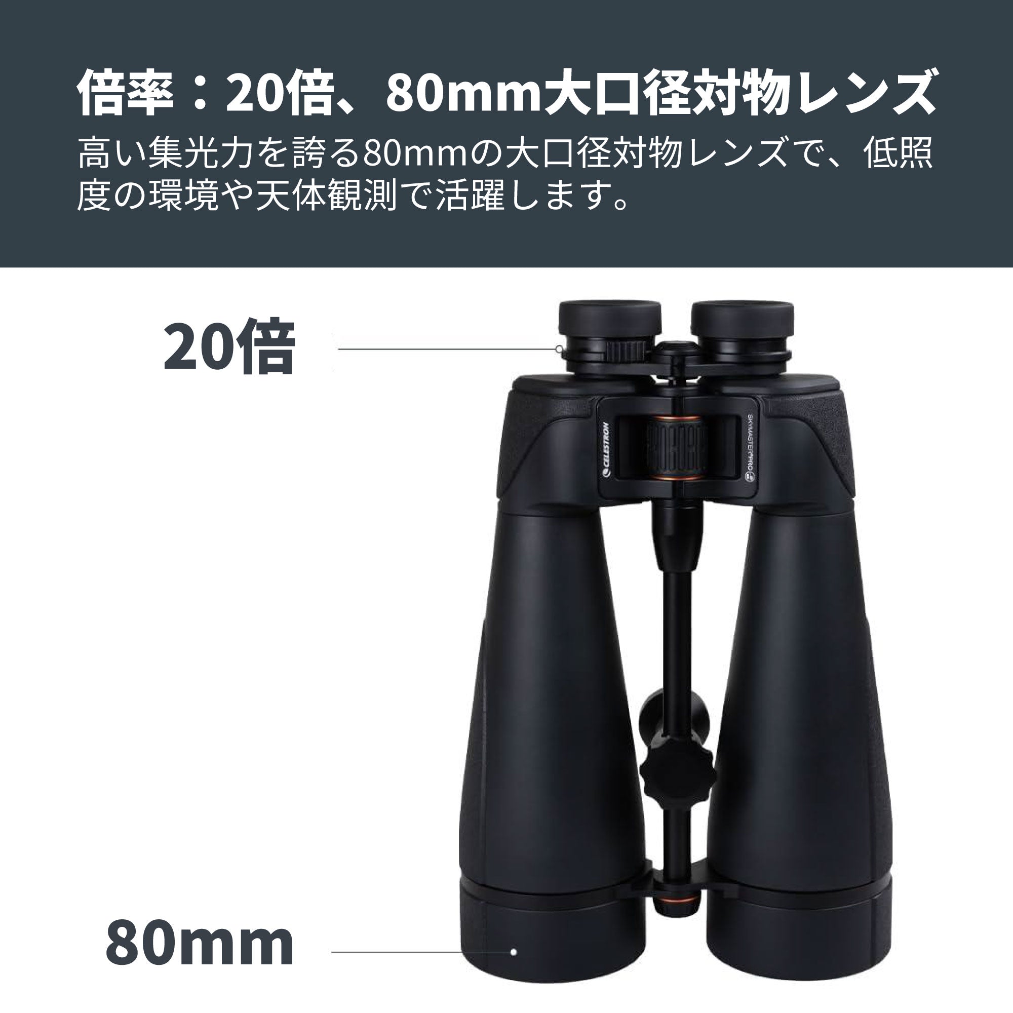 SkyMaster Pro ED 20x80 ポロプリズム双眼鏡｜セレストロン スカイ