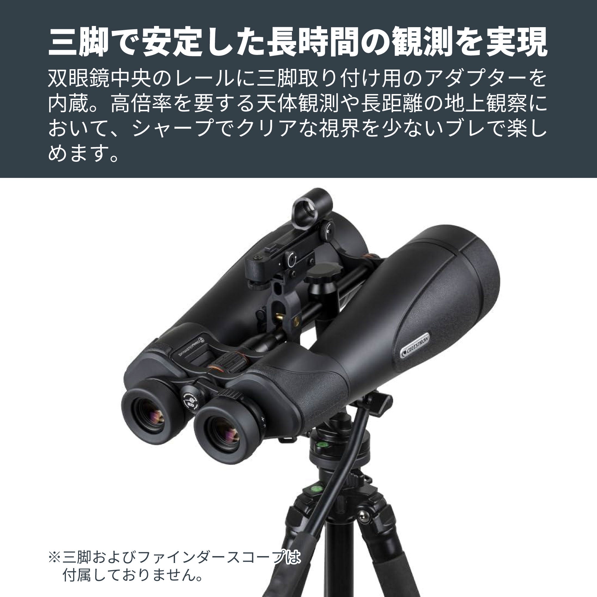 SkyMaster Pro ED 20x80 ポロプリズム双眼鏡｜セレストロン スカイ