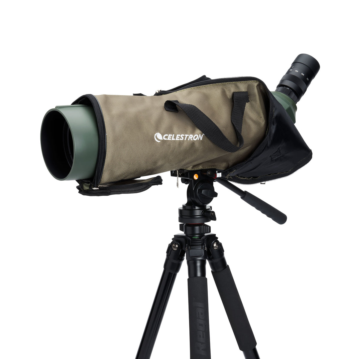 Regal M2 22-67×100 ED フィールドスコープ｜CE-BSRL-52306
