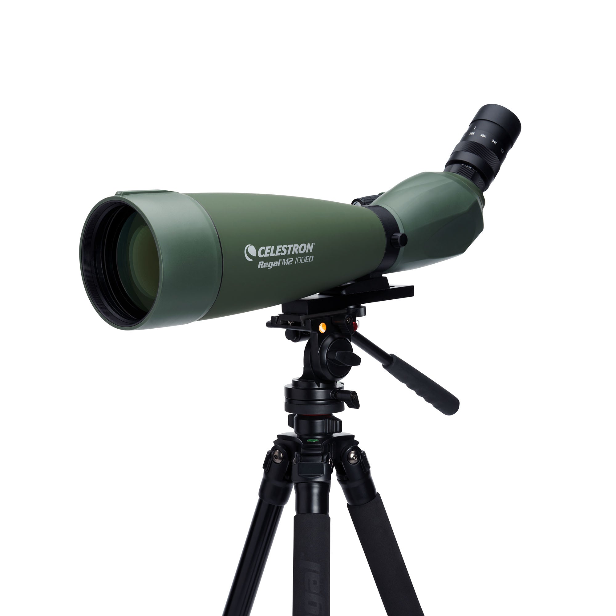 ニコン / フィールドスコープⅡ Regal M2 22-67×100 ED フィールドスコープ｜100mm口径22-67倍 傾斜型
