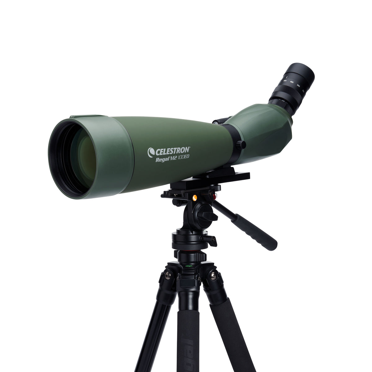 Regal M2 22-67×100 ED フィールドスコープ｜CE-BSRL-52306