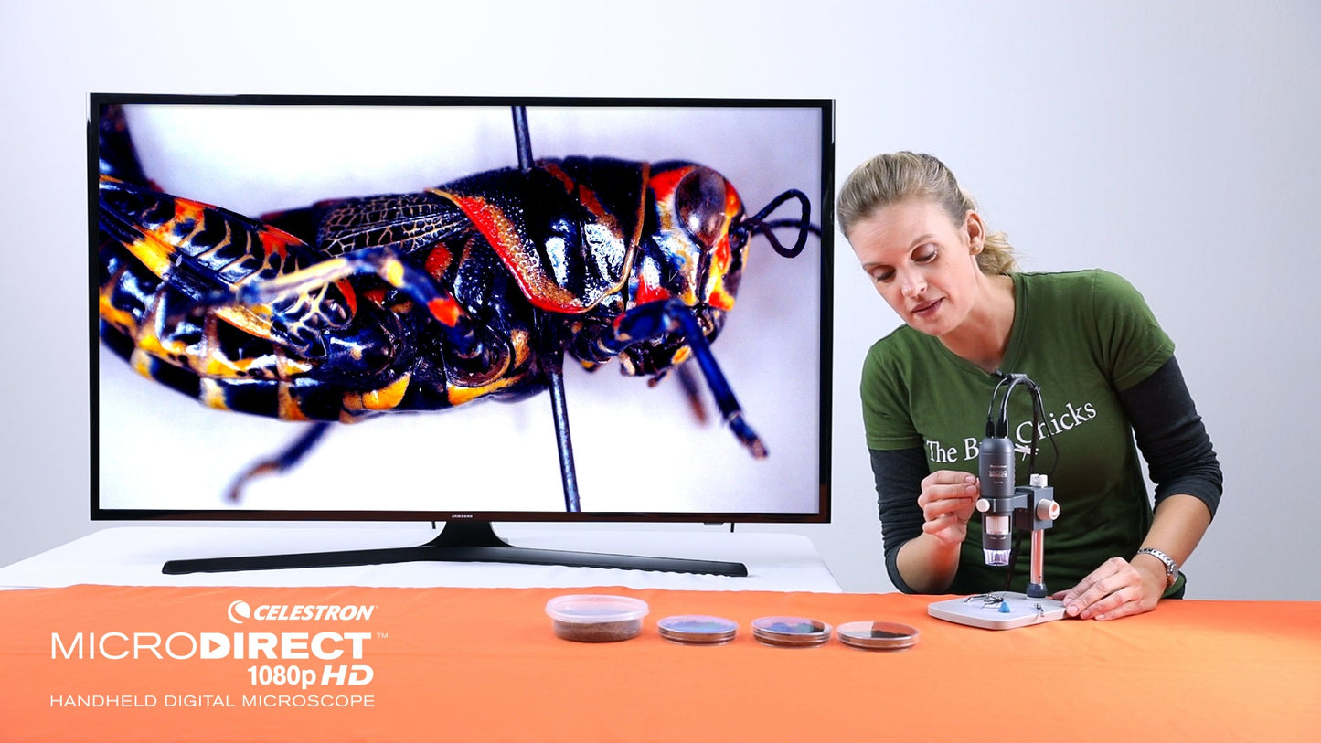 デジタル顕微鏡 1080P HD