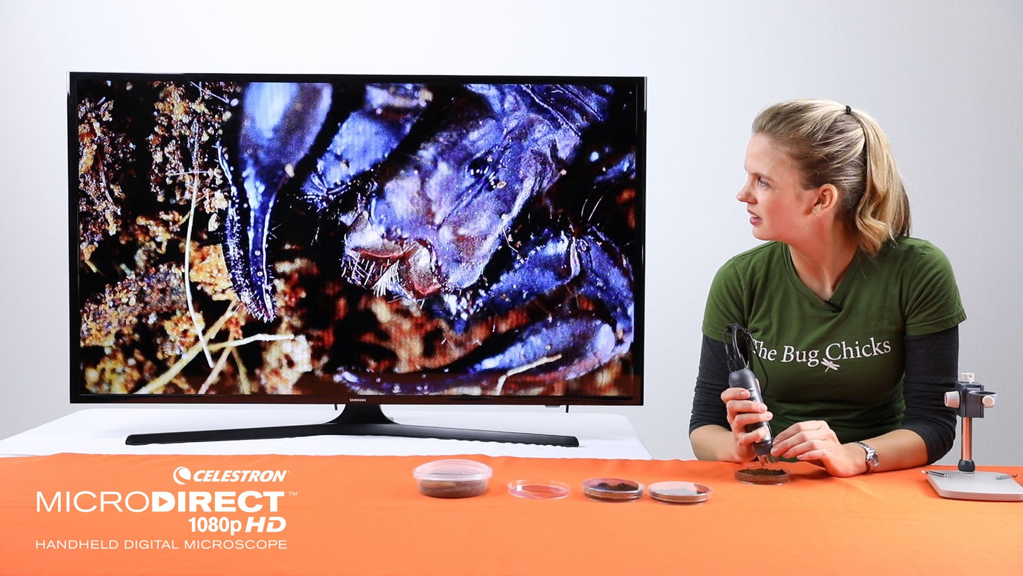 デジタル顕微鏡 1080P HD