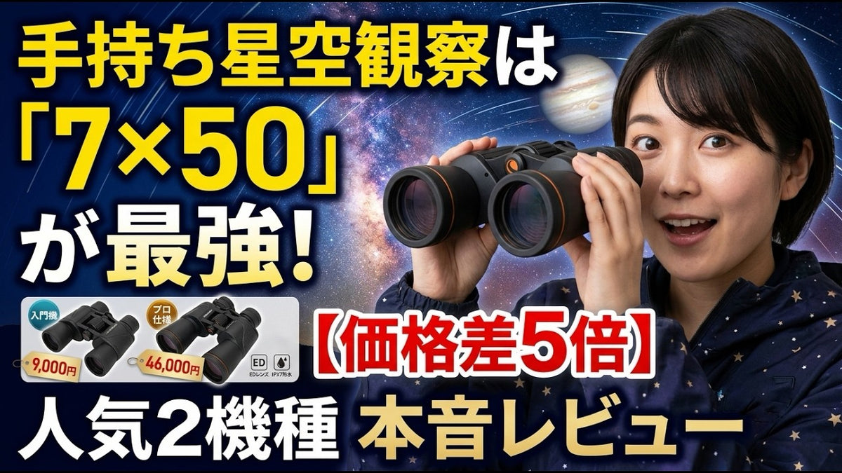 動画を読み込む: 